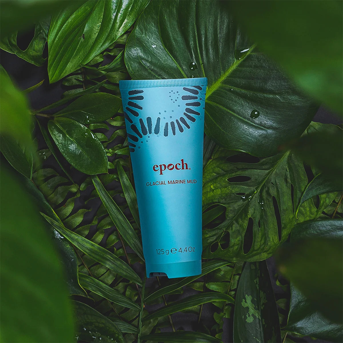 Epoch Glacial Marine Mud