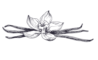 black and white flower illustration
